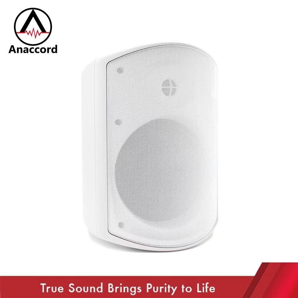 Anaccord 雅那歌音響 6吋壁掛式音響 IPX66防水系列 重低音音響喇叭 內含變壓器 (DG-60T)