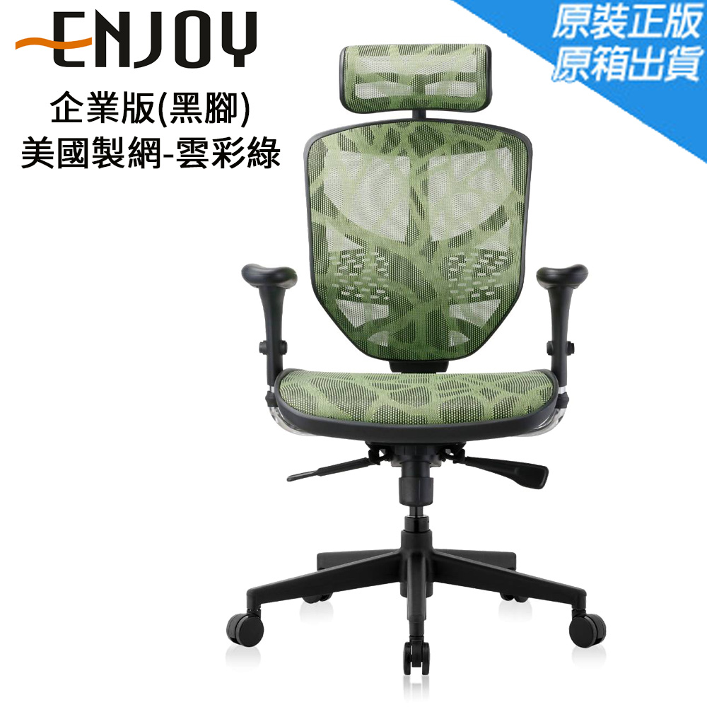 Enjoy 企業版(黑腳)人體工學椅/辦公椅/電腦椅-美國製網-雲彩綠/ZB3