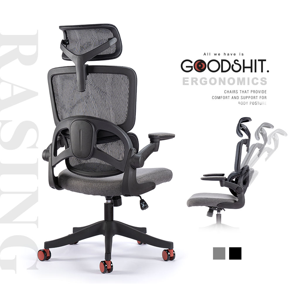 GOODSHIT.-Rasing雷森人體工學椅/電腦椅/工作椅/辦公椅