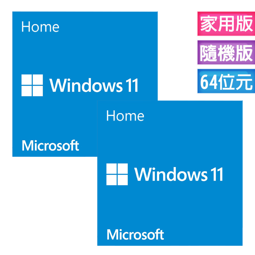 Windows 11 家用中文版 64位元隨機版 二入組