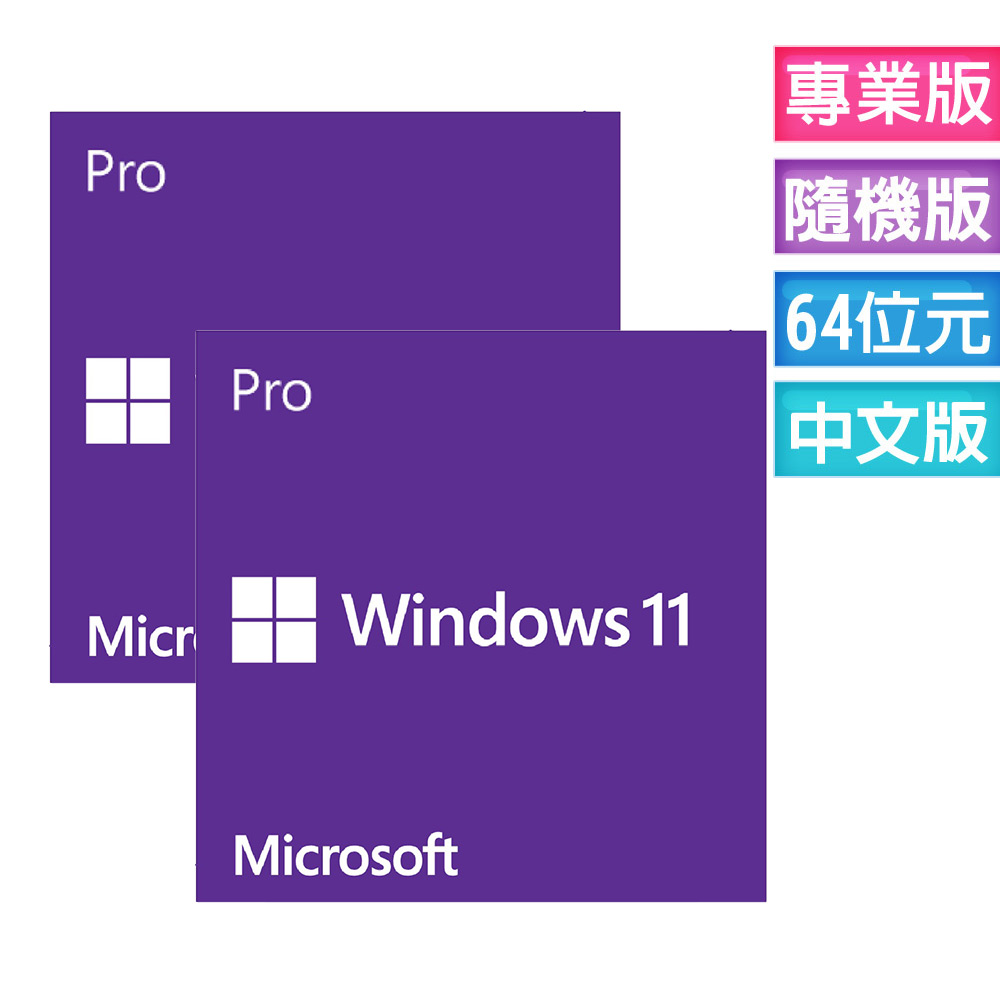 Windows 11 專業中文版 64位元隨機版 二入組