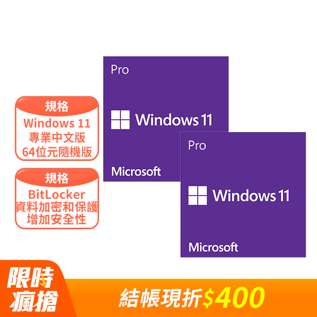 Windows 11 專業中文版 64位元隨機版 二入組