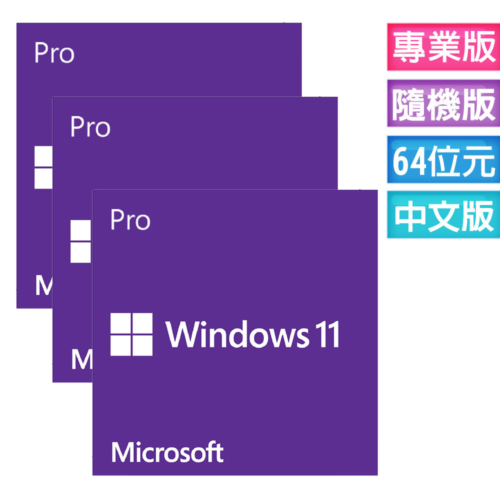 Windows 11 專業中文版 64位元隨機版 三入組