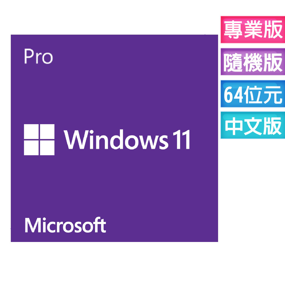 Windows 11 專業中文版 64位元隨機版