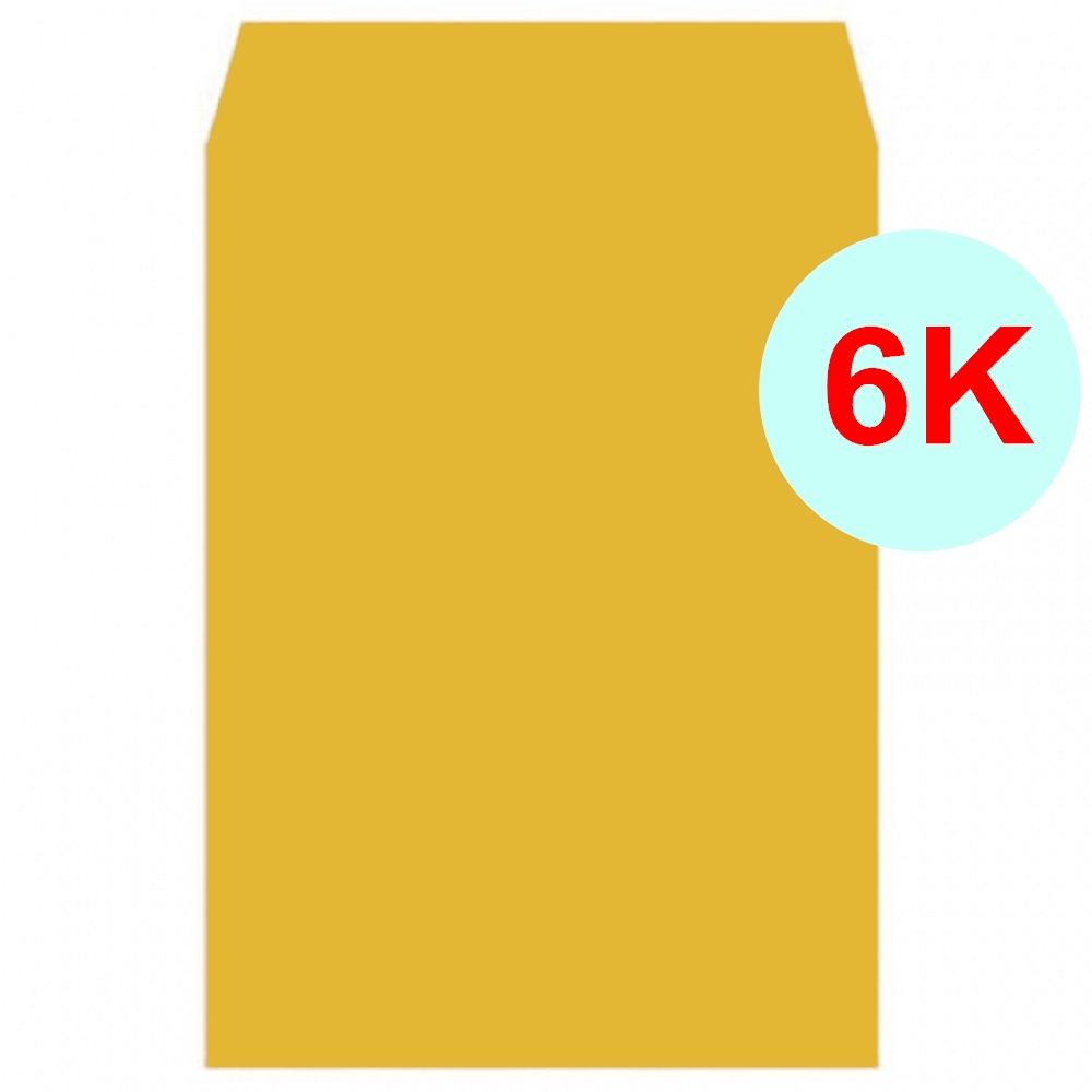 6K 黃牛皮公文封 100入