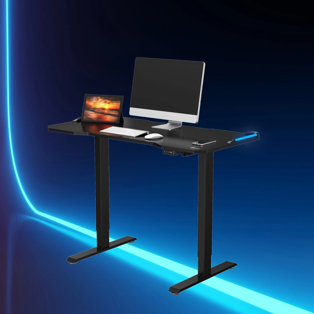 Raymii VD2-12RGB 電競升降桌