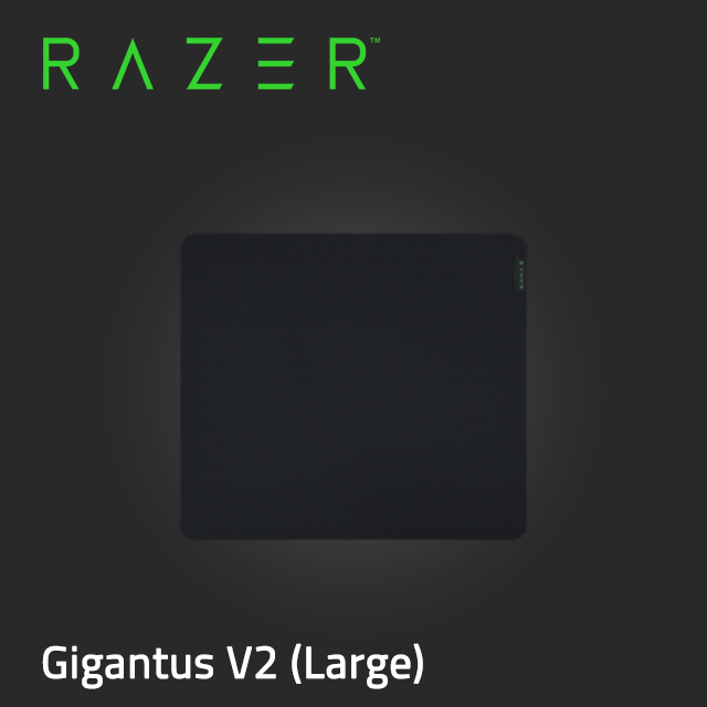Razer Gigantus V2 巨甲蟲滑鼠墊 (大) RZ02-03330300-R3M1