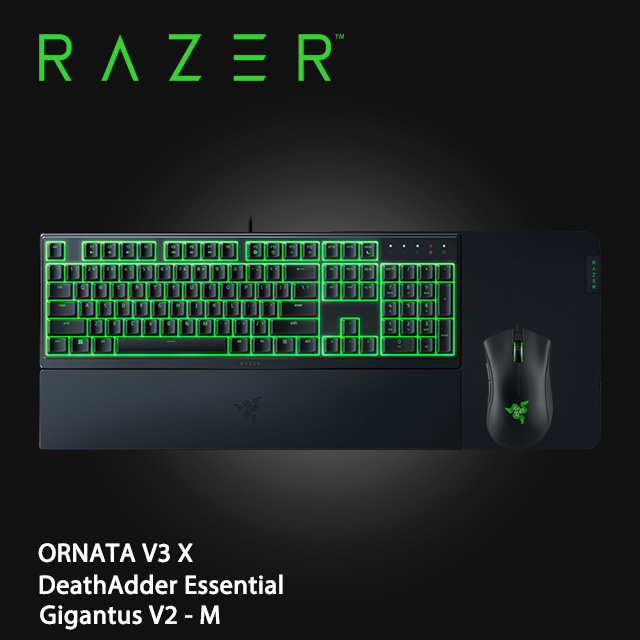 RAZER 雨林狼蛛 V3 X 中文+煉獄蝰蛇標準版電競滑鼠+GIGANTUS V2 巨甲蟲滑鼠墊M(中)