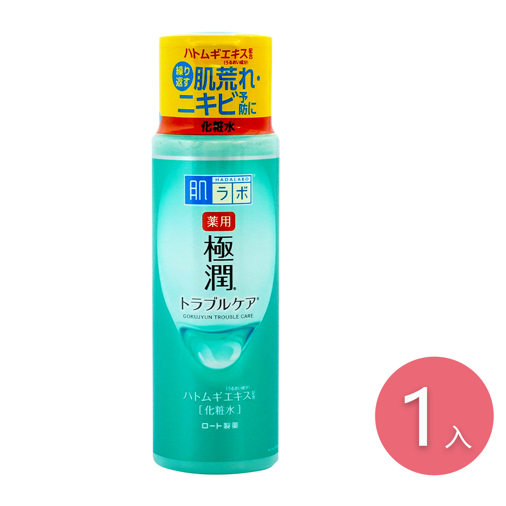 肌研 極潤健康化粧水170ml-日本境內版