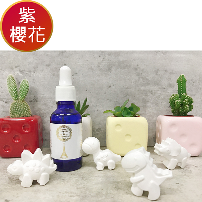 【愛戀花草】日本紫櫻花水氧薰香精油30ML+贈恐龍擴香石4個 (2件再加贈蛋形水氧機)