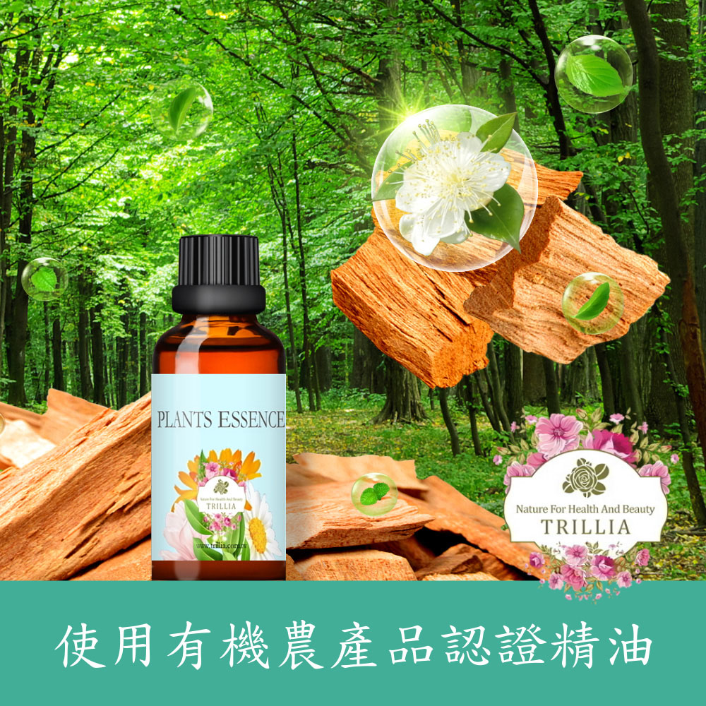 【Trillia】原木森林浴複方精油(50ml)