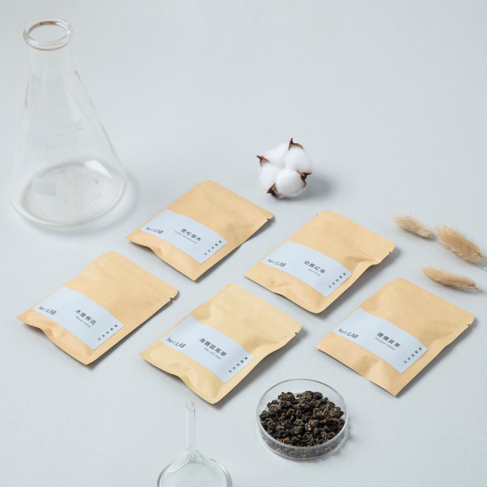 【hoi!LAB】車用香氛補充片2入組-實驗室篇