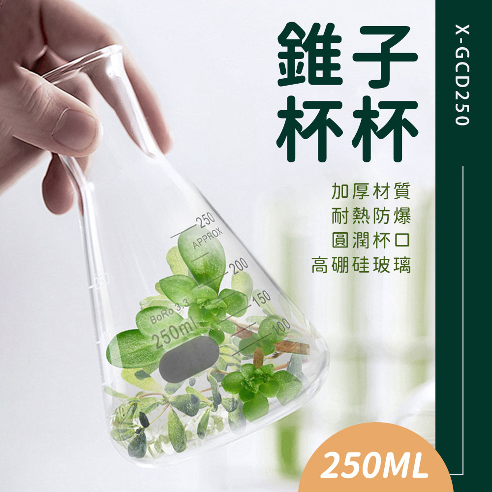 550-GCD250 錐子杯杯(250ml)