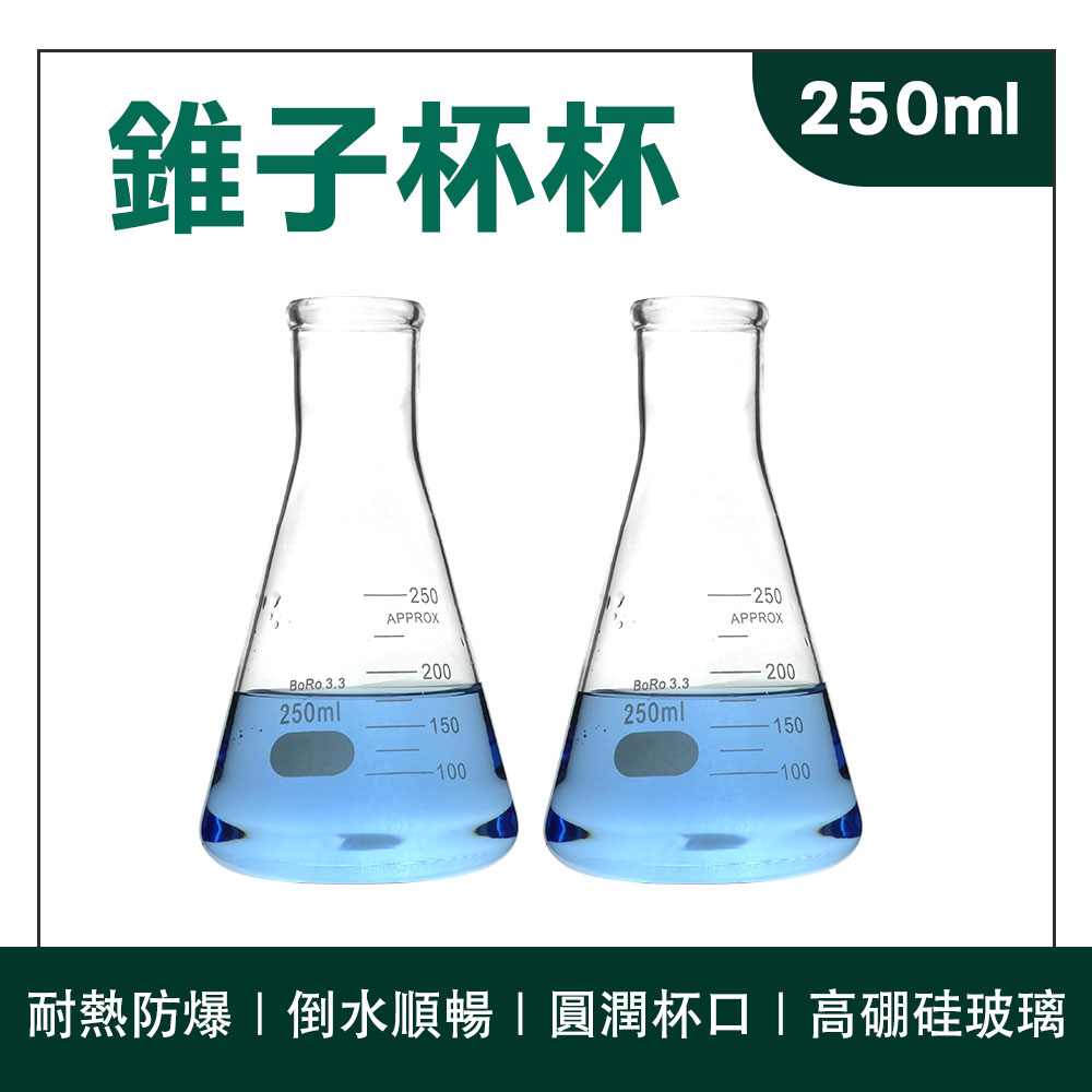 2入 三角燒杯250ml B-GCD250