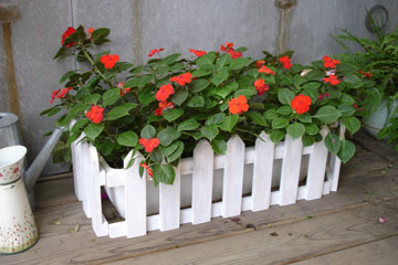 《園藝家》玫瑰白ㄇ型花盆圍籬(大)