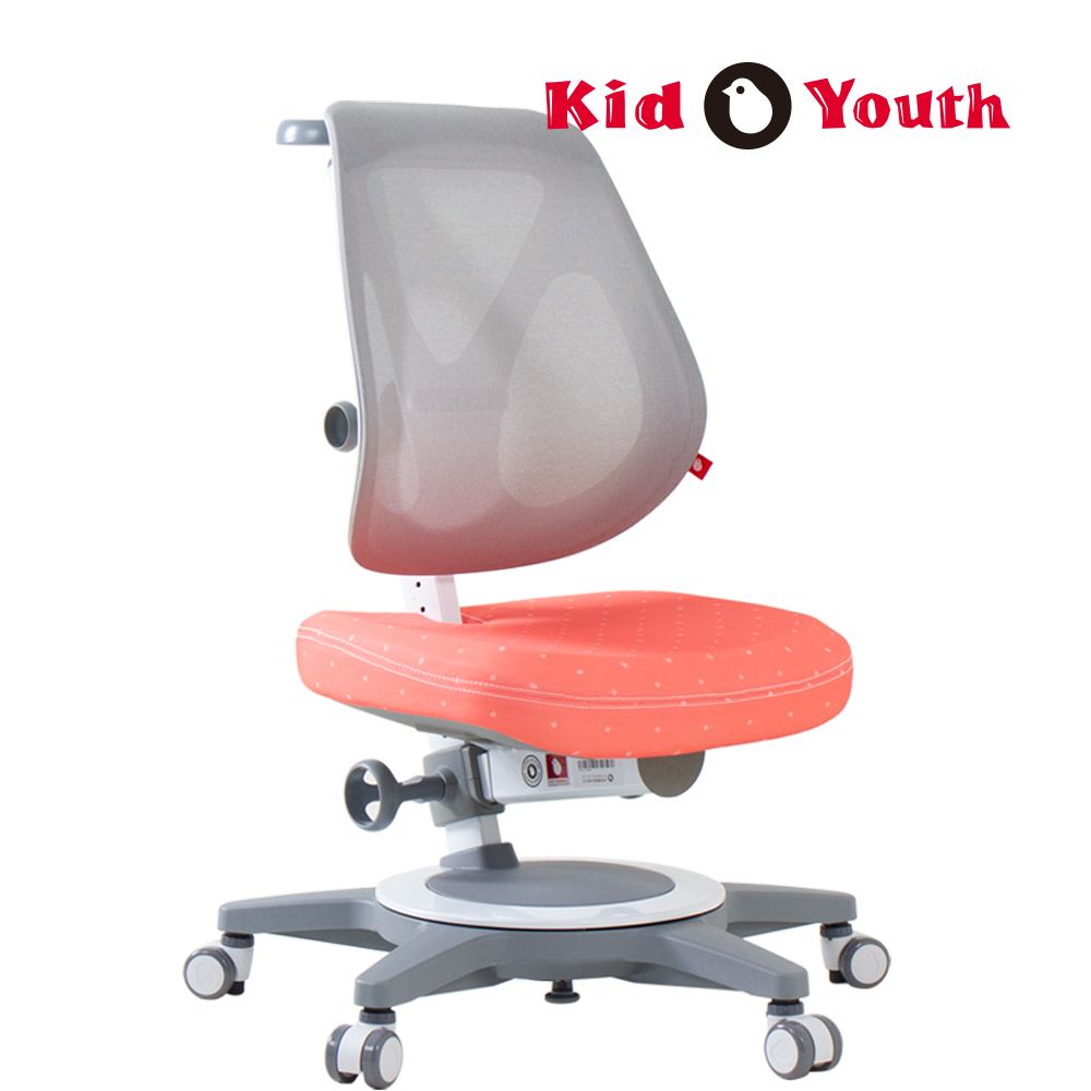 大將作 EGO 成長椅 網椅椅背 人體工學椅