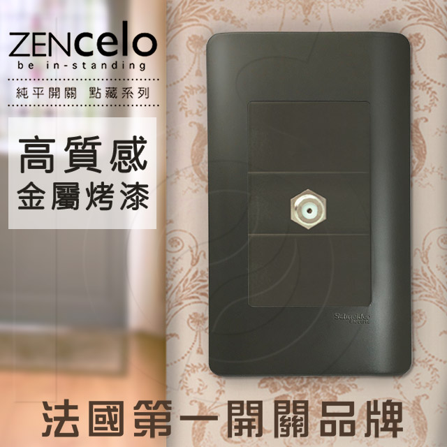 法國Schneider ZENcelo系列 埋入式高遮蔽電視插座 鐵灰色