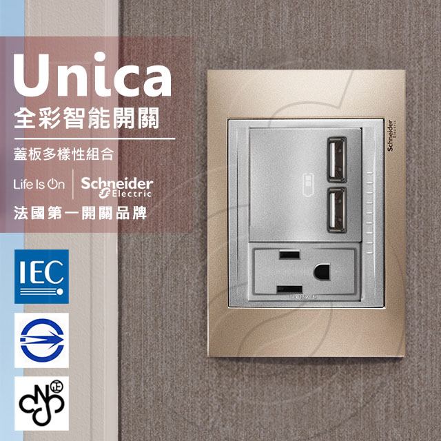 法國Schneider Unica Top雙USB插座/單插座(附接地極)_金屬銅外框