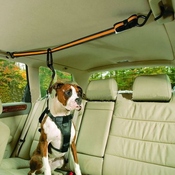 車載寵物狗貓通用安全固定牽引繩牽引帶