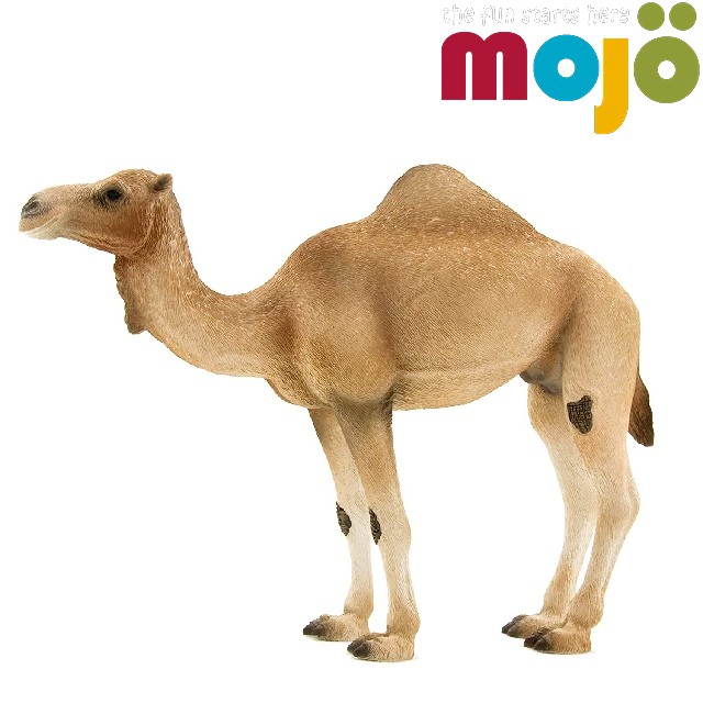 Mojo Fun動物模型-駱駝