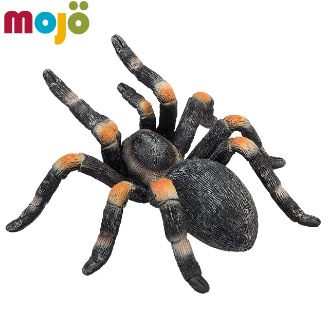 Mojo Fun動物模型-紅膝蜘蛛