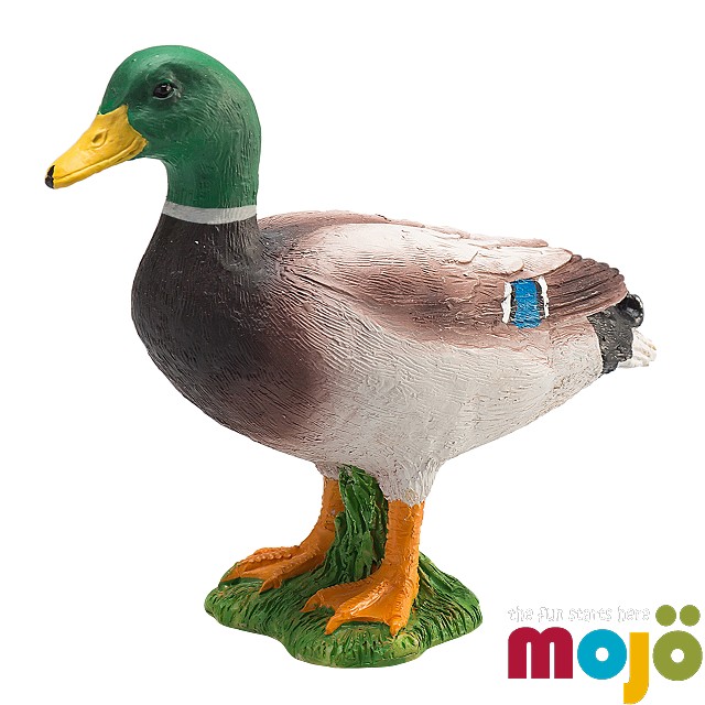 Mojo Fun動物模型-綠頭鴨