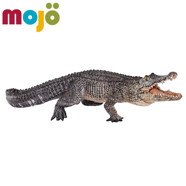 Mojo Fun動物模型-短吻鱷