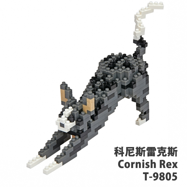【Tico 微型積木】T-9805 科尼斯雷克斯 Cornish Rex