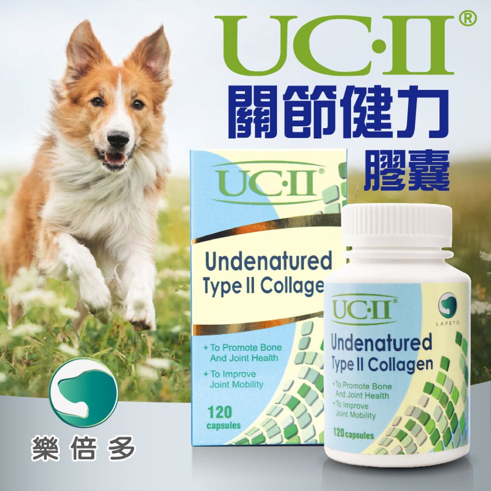 UC-II®樂倍多關節健力膠囊-120顆裝