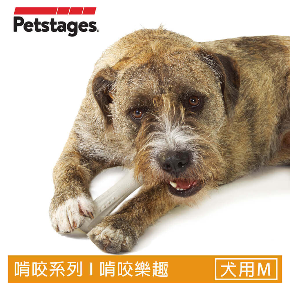 ＊＊奇異鹿角（M）＊＊自然脫落的真實鹿角合成，堅固耐咬