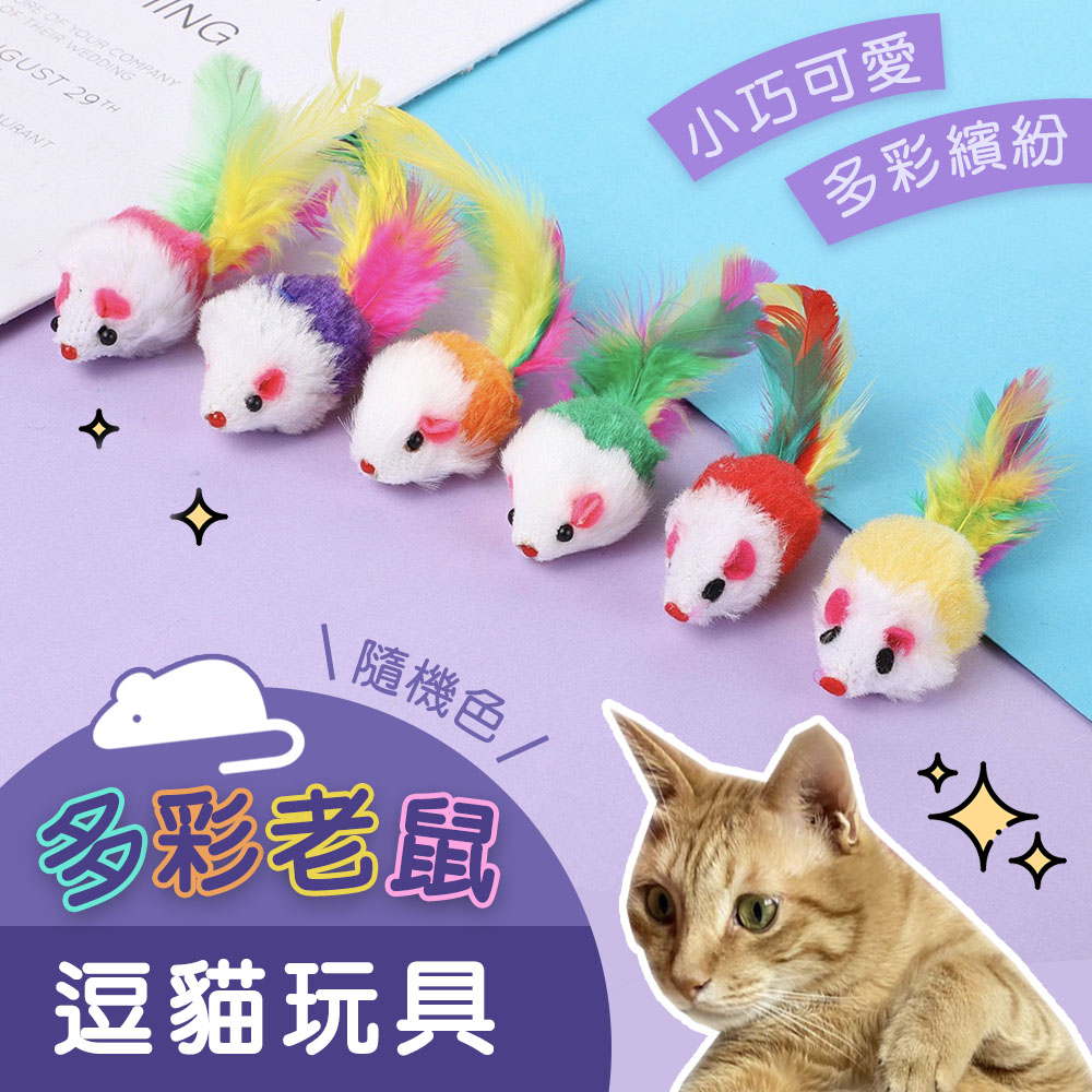 【SHOWHAN】多彩老鼠逗貓玩具(10入組)