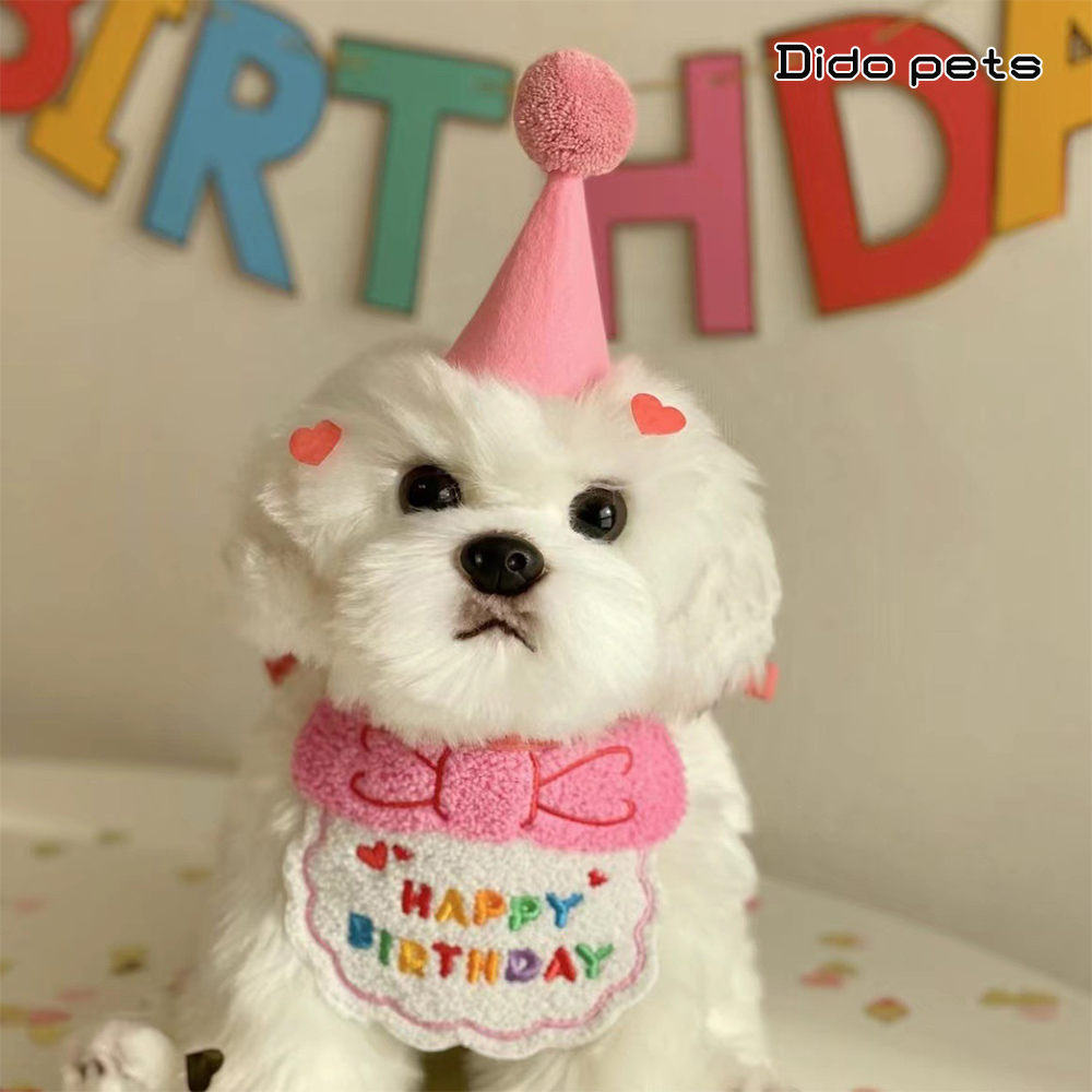 【Dido Pets】寵物派對 生日項圈圍兜+帽子-蝴蝶結款(PT149)