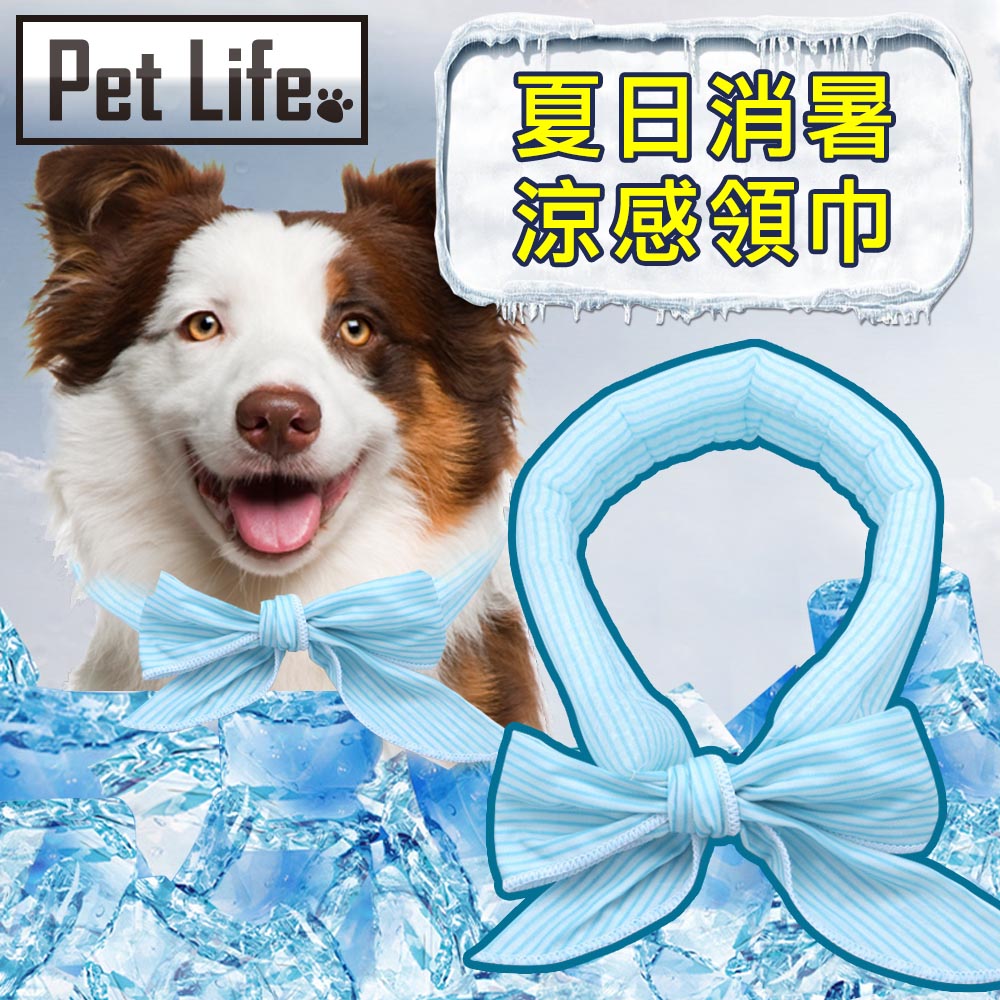Pet Life 降溫神器純棉貓犬涼感領巾/消暑降溫圍脖 條紋藍5x100cm