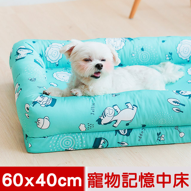 【奶油獅】台灣製造-森林野餐-寵物記憶床墊-中40*60cm(10kg以下適用)-藍