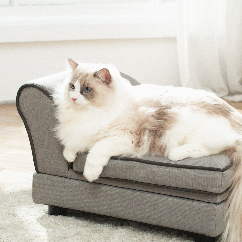 【Teamson pets】可置物寵物貴妃沙發躺椅-小