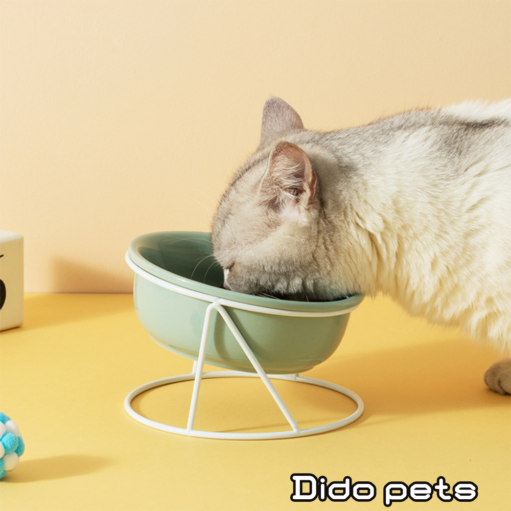 【Dido Pets】小清新 陶瓷寵物碗-單碗款 (白/淺綠) (PT071)