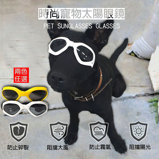 【COMET】時尚寵物太陽眼鏡(DG-001)
