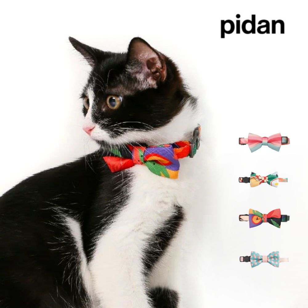【pidan】貓用寵物項圈