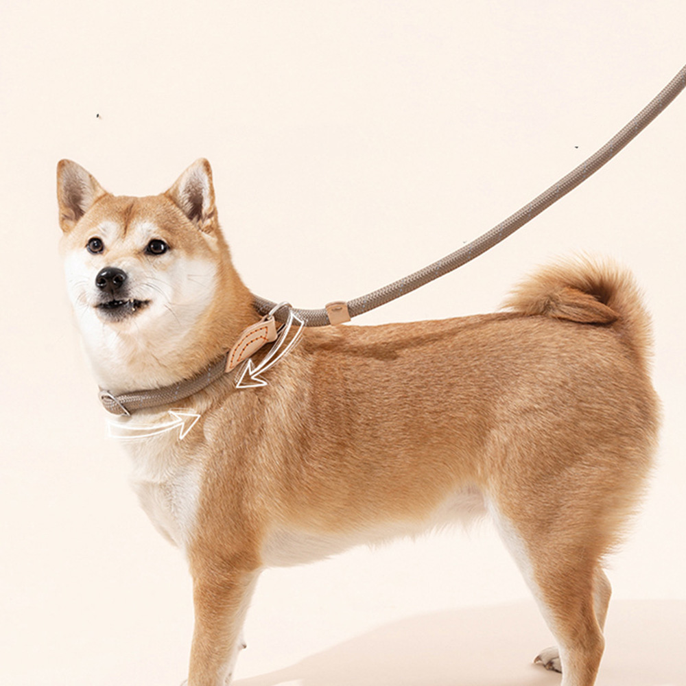 【寵物愛家】狗狗中大型犬牽引繩防爆沖訓練P繩尼龍繩寵物牽引繩