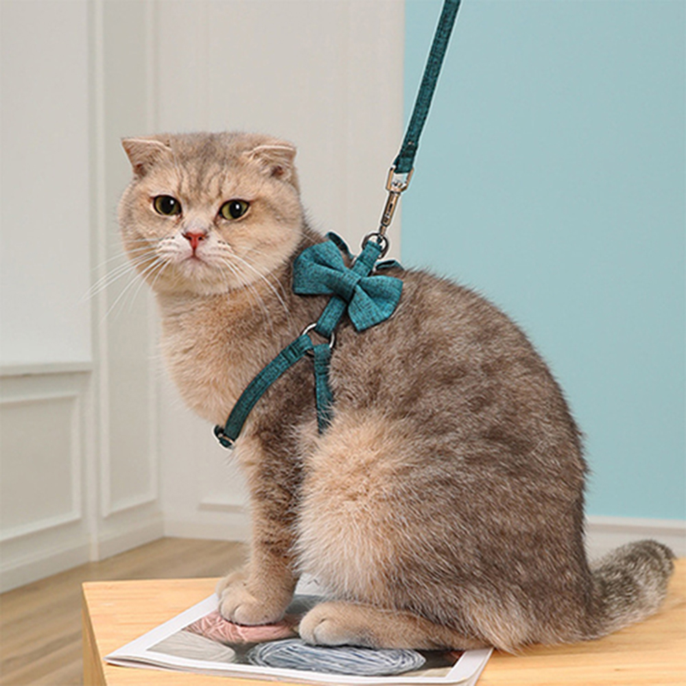 【寵物愛家】中小型犬貓咪蝴蝶結版充棉胸背牽繩