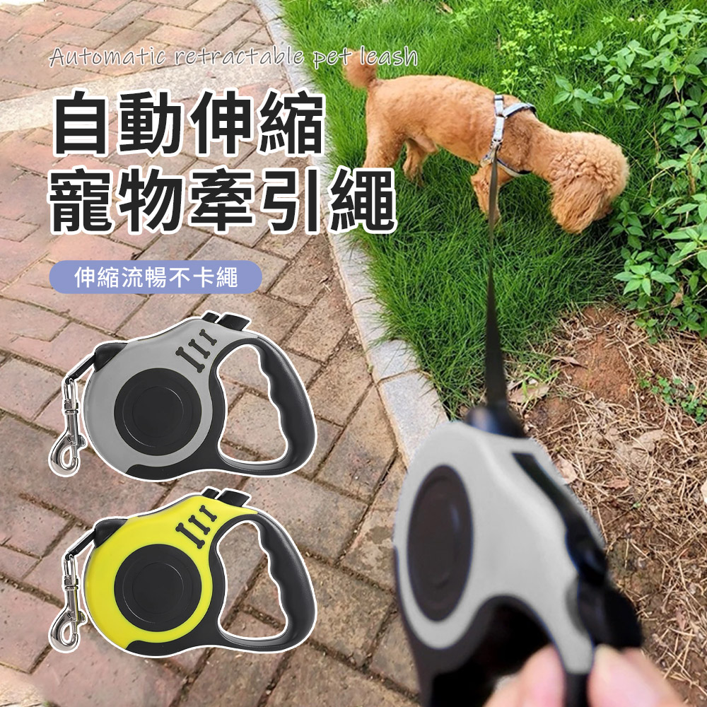 Bayler 寵物自動伸縮牽引繩 遛狗繩 中小型犬-5米(寵物牽繩/伸縮牽繩/寵物用品/寵物外出用品)