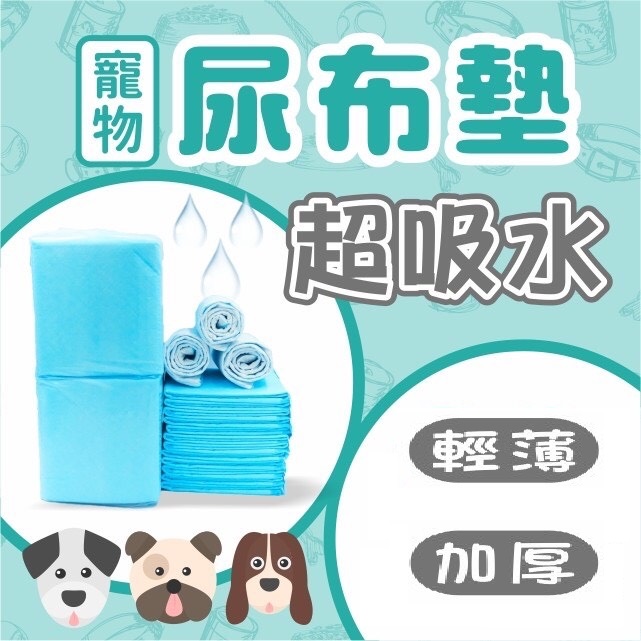 寵物尿布 寵物尿布墊 防臭吸水 尿墊 吸水尿布墊 L號5入裝