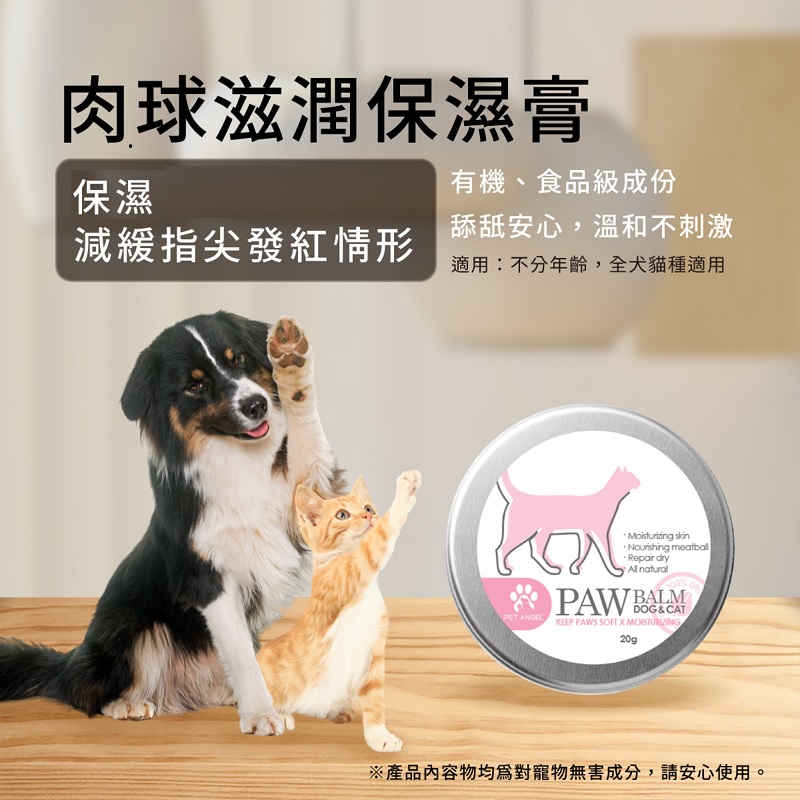 ( 即期品~2025.06.27 ) 毛天使 肉球滋潤保濕膏 貓狗通用20ml 臺灣製