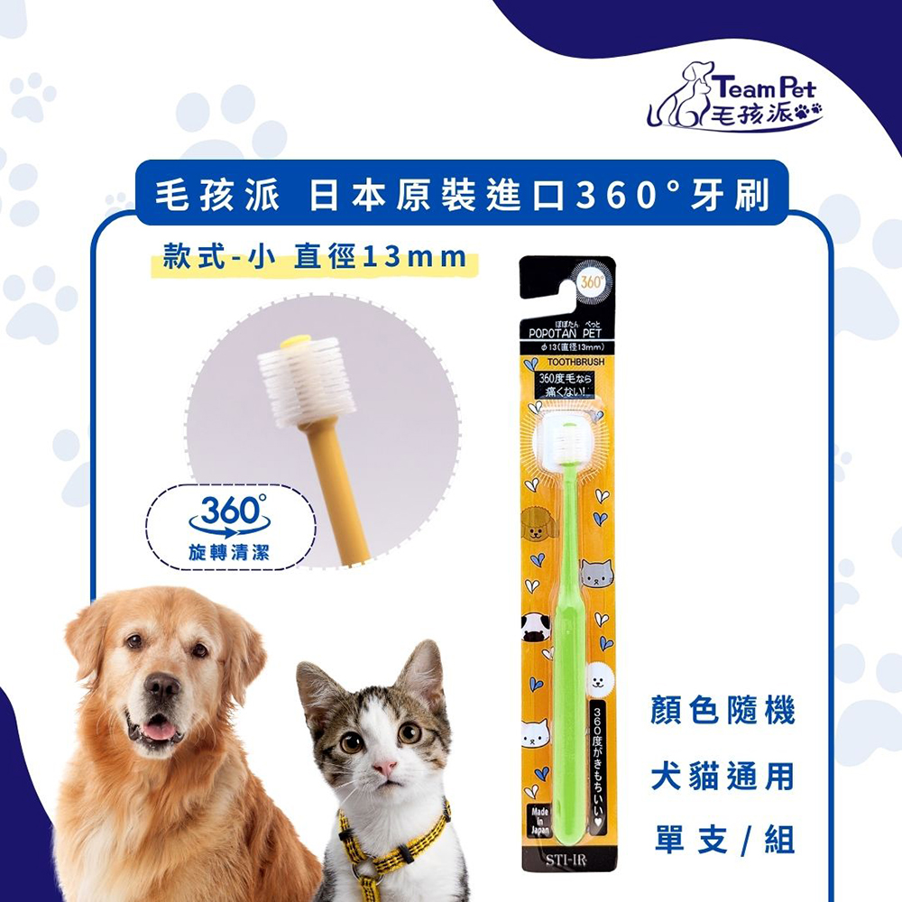 毛孩派 Team Pet 日本原裝進口360°牙刷 款式-(小) 單支/組 顏色隨機