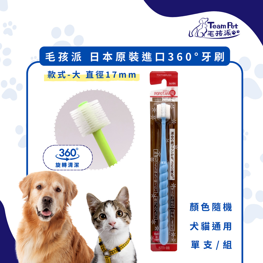 毛孩派 Team Pet 日本原裝進口360°牙刷 款式-(大) 單支/組 顏色隨機