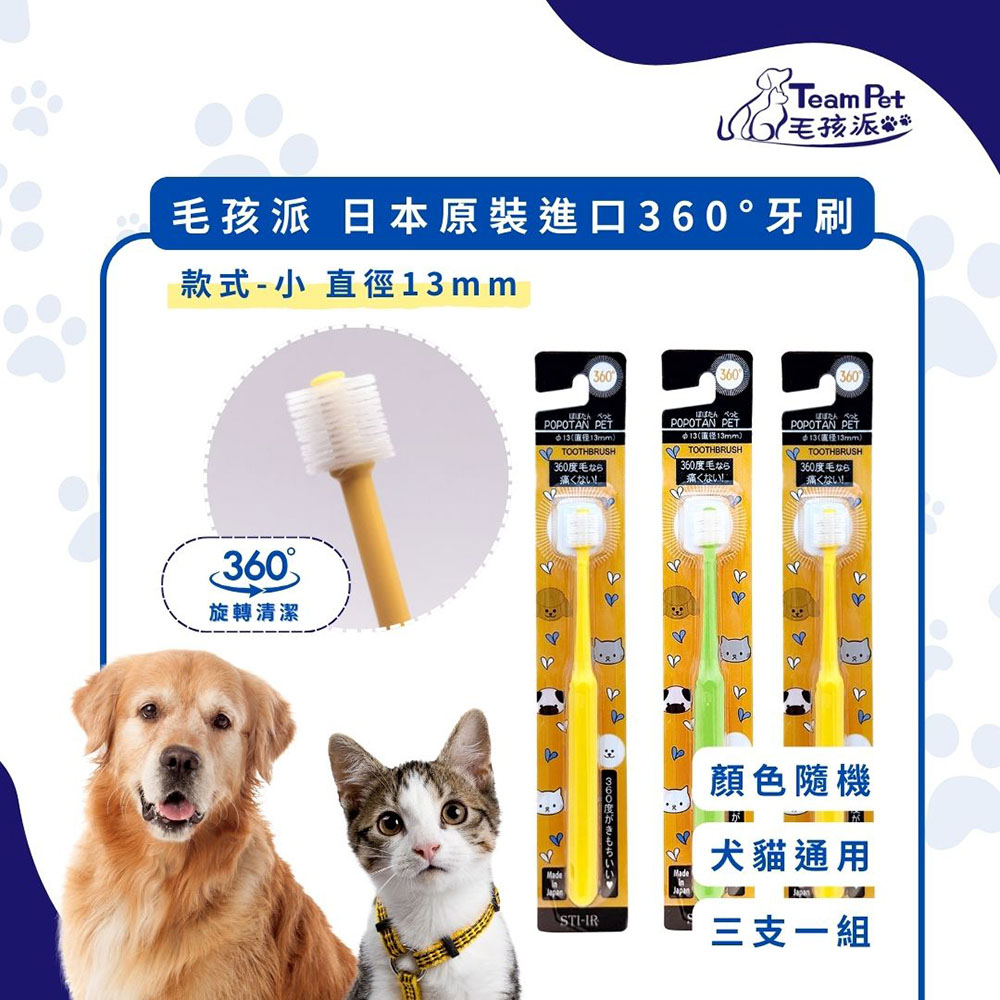 毛孩派 Team Pet 日本原裝進口360°牙刷 款式-(小) 3支一組 顏色隨機