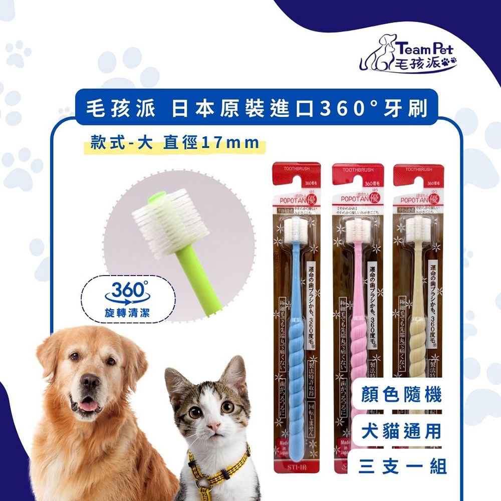 毛孩派 Team Pet 日本原裝進口360°牙刷 款式-(大) 3支一組 顏色隨機