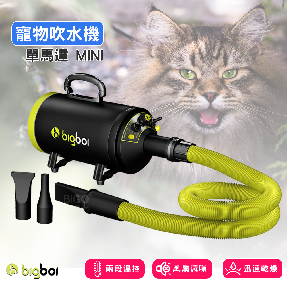 【bigboi】(單馬達乾燥吹風機MINI) 寵物吹水機 吹風機 大風力 大風速 烘乾毛髮 汽車吹水