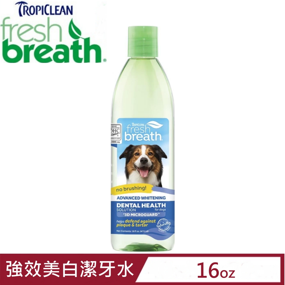 Fresh breath鮮呼吸-強效美白潔牙水 16fl oz.(473ml)