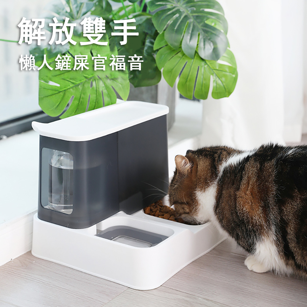 寵物餵食器 飲水機餵食器一體式自動餵食器 紳士灰